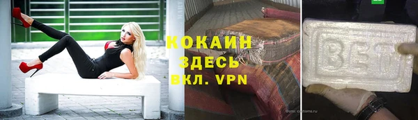 мяу мяу мука Аркадак