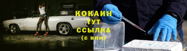 мяу мяу мука Аркадак