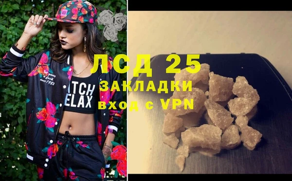 мяу мяу мука Аркадак