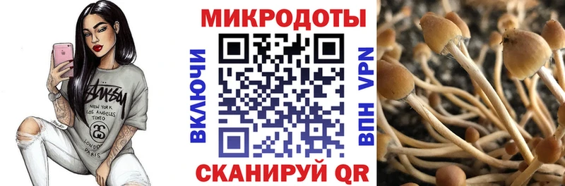 Галлюциногенные грибы прущие грибы  Городец 
